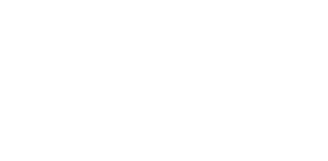 Flash Global SIM
